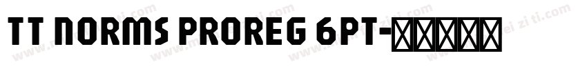 TT NORMS PROREG 6PT字体转换